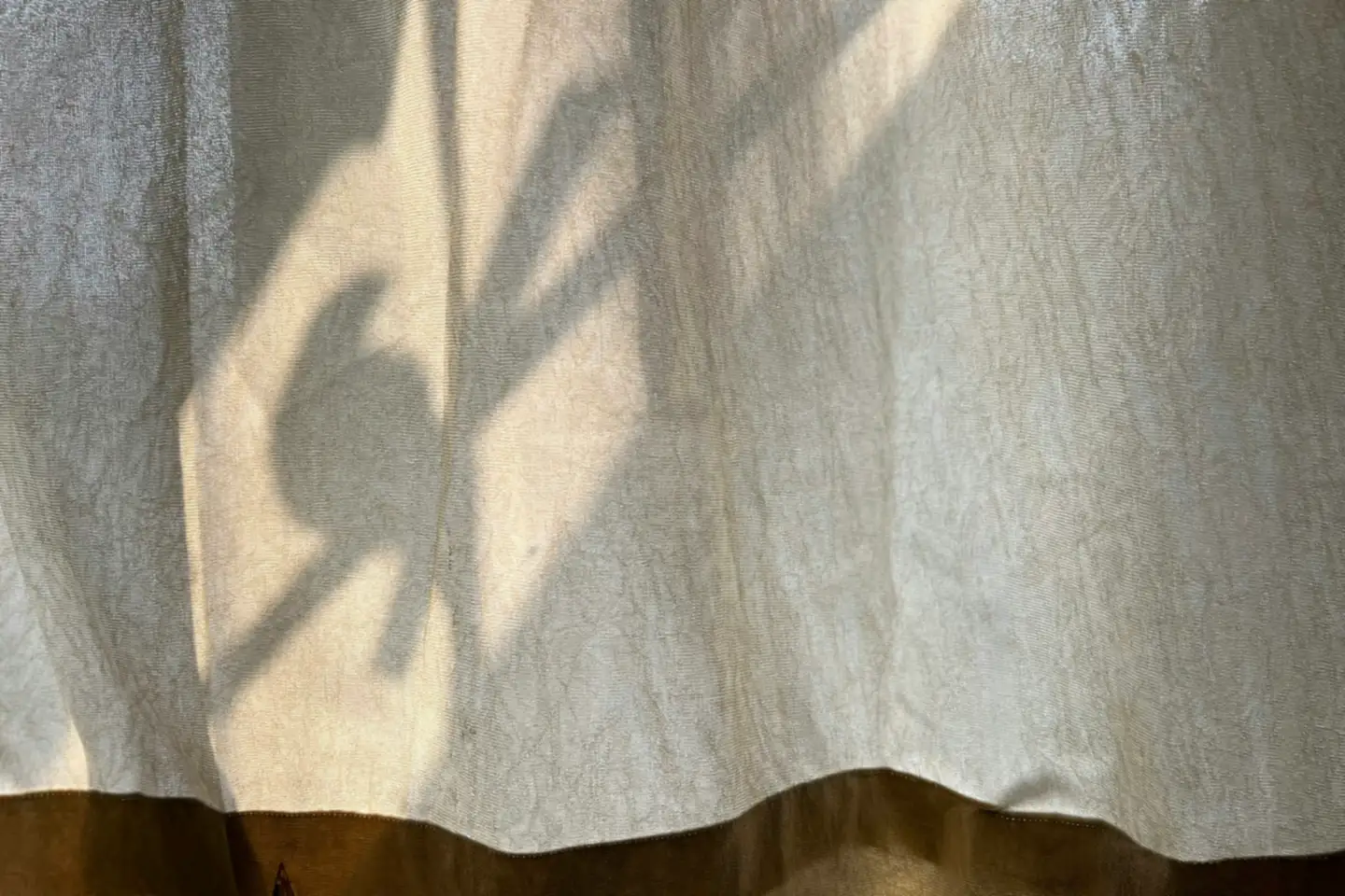 Sombra de uma planta numa cortina clara, com luz atravessando o tecido.